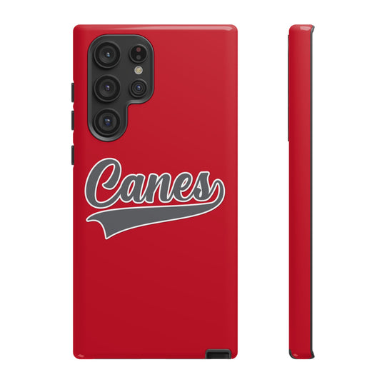 Palm Harbor Lady Canes Tough Cases