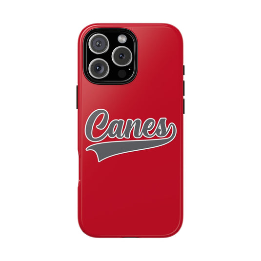 Palm Harbor Lady Canes Tough Cases