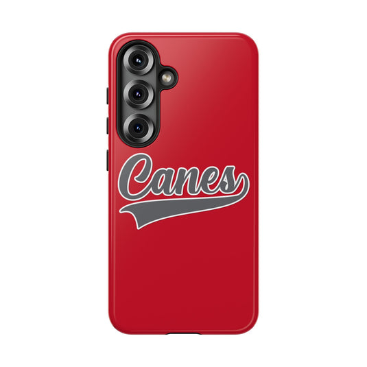 Palm Harbor Lady Canes Tough Cases