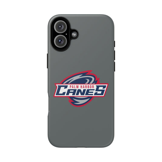 Palm Harbor Lady Canes Tough Cases
