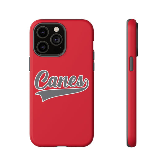 Palm Harbor Lady Canes Tough Cases
