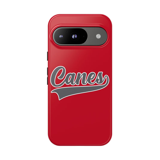Palm Harbor Lady Canes Tough Cases