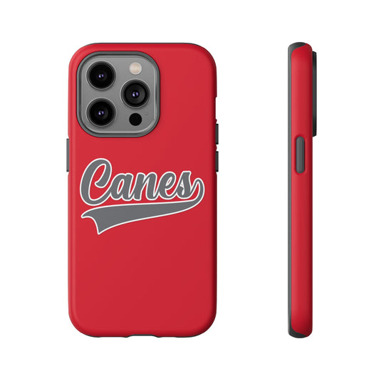 Palm Harbor Lady Canes Tough Cases