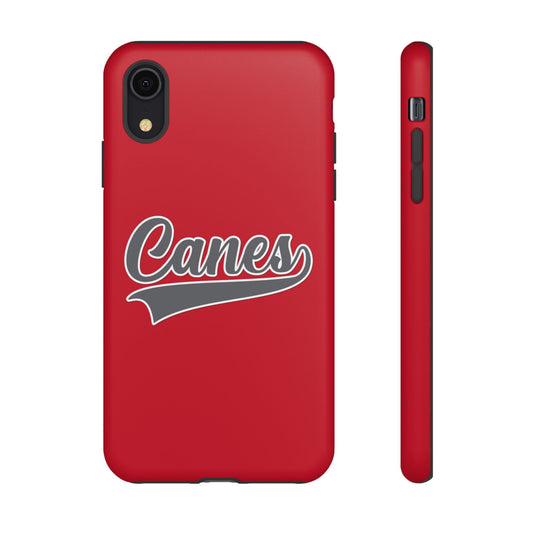 Palm Harbor Lady Canes Tough Cases