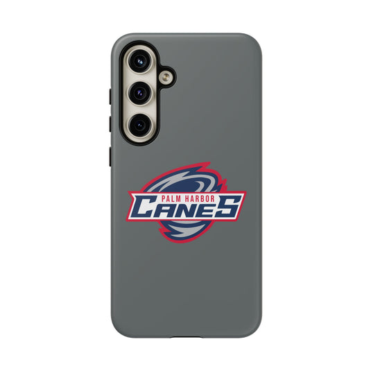 Palm Harbor Lady Canes Tough Cases