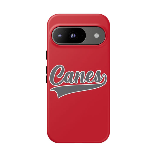 Palm Harbor Lady Canes Tough Cases