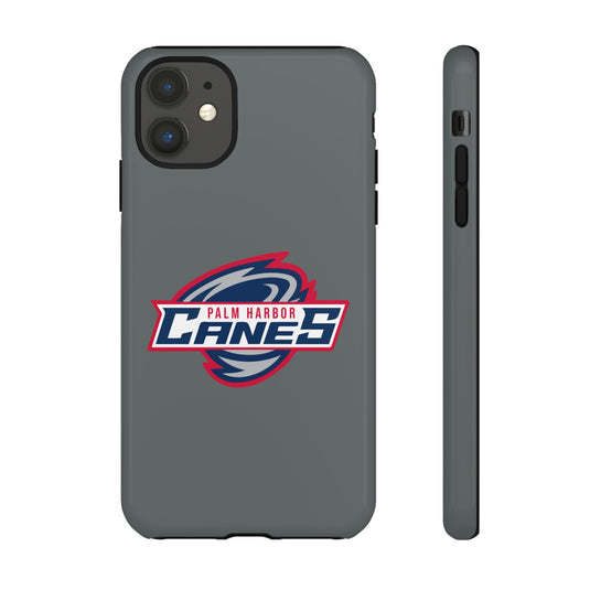 Palm Harbor Lady Canes Tough Cases