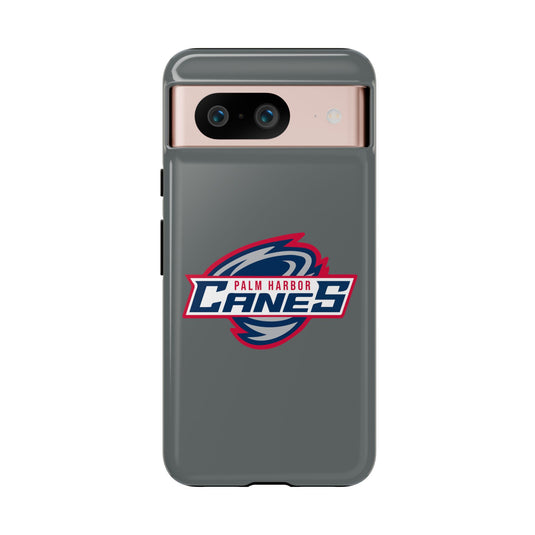 Palm Harbor Lady Canes Tough Cases
