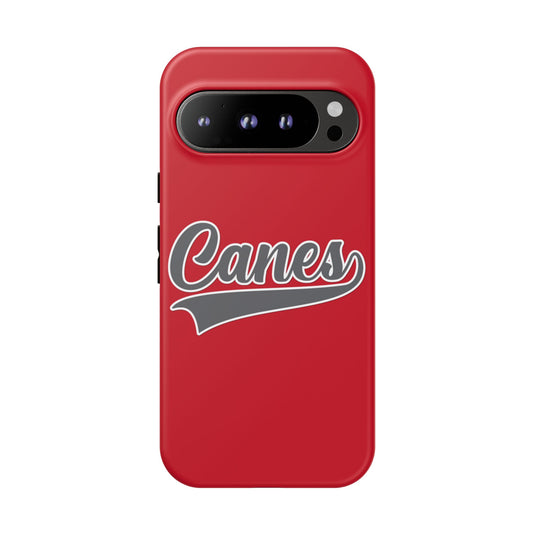 Palm Harbor Lady Canes Tough Cases