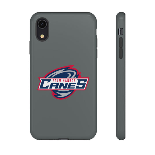 Palm Harbor Lady Canes Tough Cases
