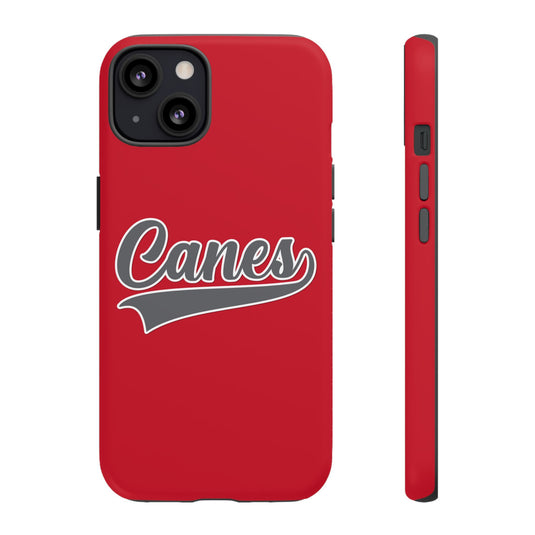 Palm Harbor Lady Canes Tough Cases