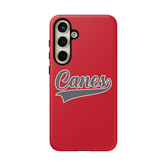 Palm Harbor Lady Canes Tough Cases
