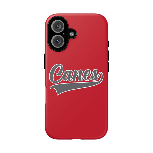 Palm Harbor Lady Canes Tough Cases