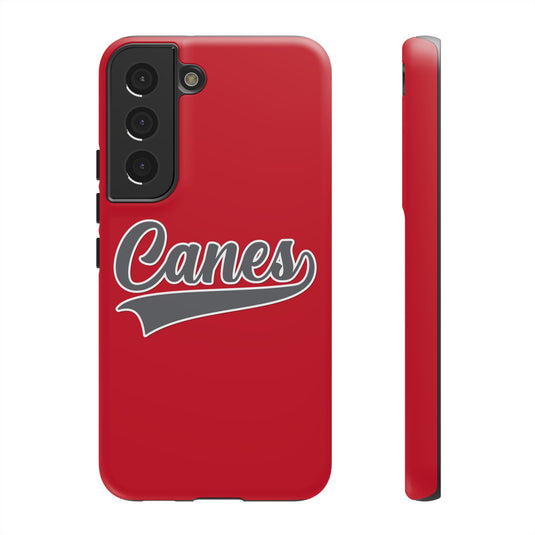 Palm Harbor Lady Canes Tough Cases