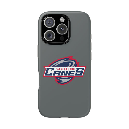 Palm Harbor Lady Canes Tough Cases