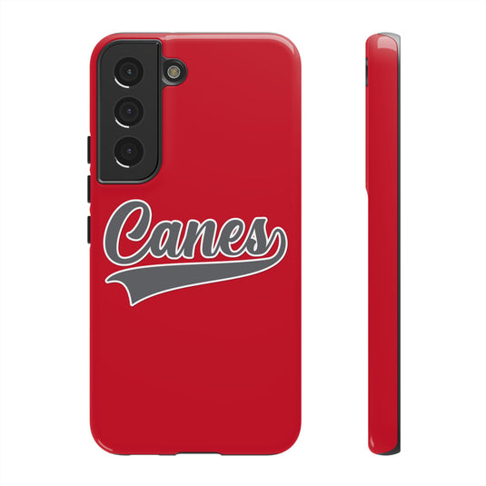 Palm Harbor Lady Canes Tough Cases