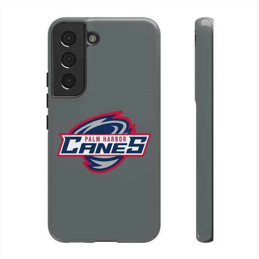 Palm Harbor Lady Canes Tough Cases