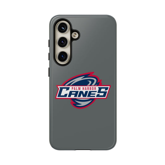 Palm Harbor Lady Canes Tough Cases