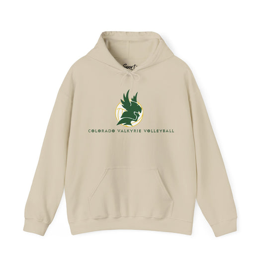 Colorado Valkyrie Volleyball Club Unisex Adult Basic Hooded Sweatshirt