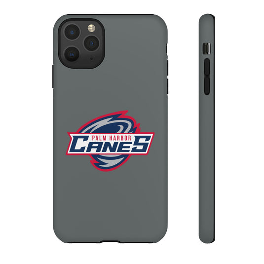 Palm Harbor Lady Canes Tough Cases