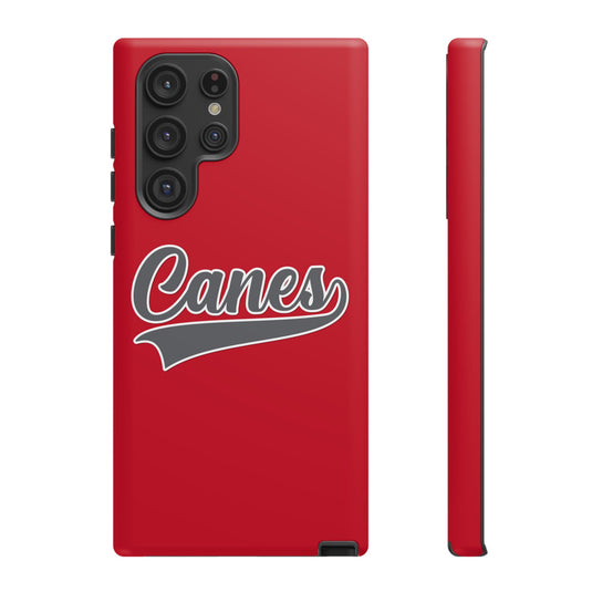 Palm Harbor Lady Canes Tough Cases