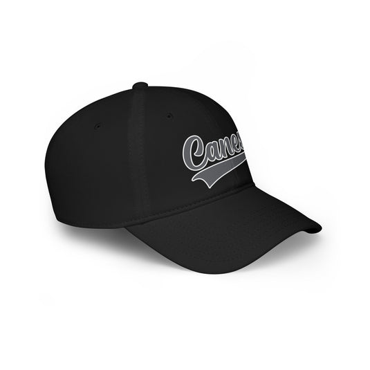 Palm Harbor Lady Canes Low Profile Baseball Cap