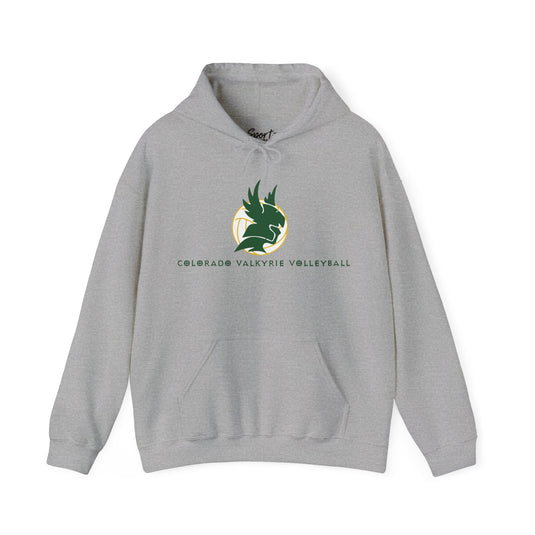 Colorado Valkyrie Volleyball Club Unisex Adult Basic Hooded Sweatshirt