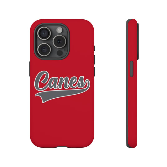 Palm Harbor Lady Canes Tough Cases