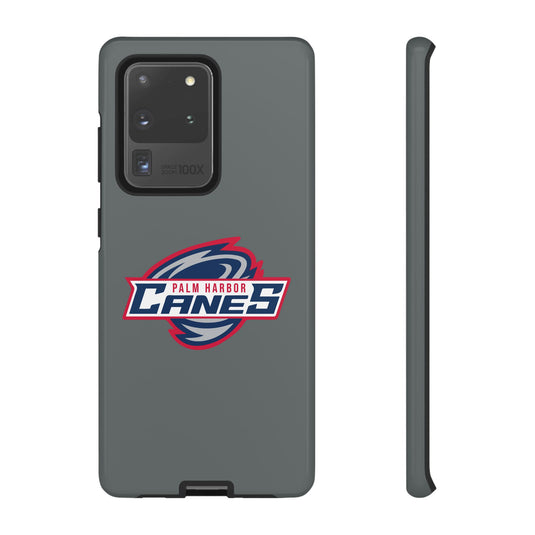 Palm Harbor Lady Canes Tough Cases