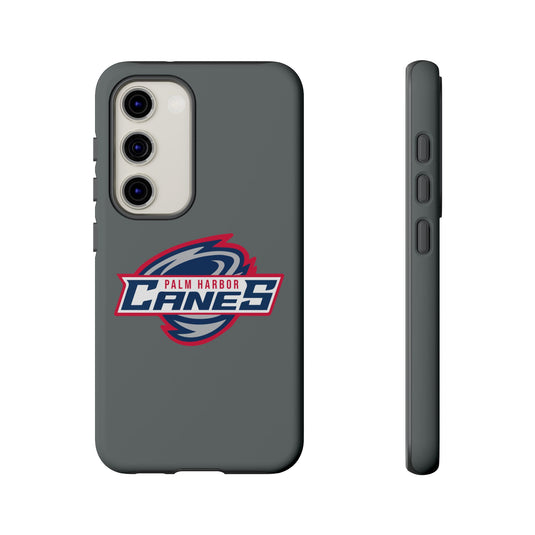 Palm Harbor Lady Canes Tough Cases