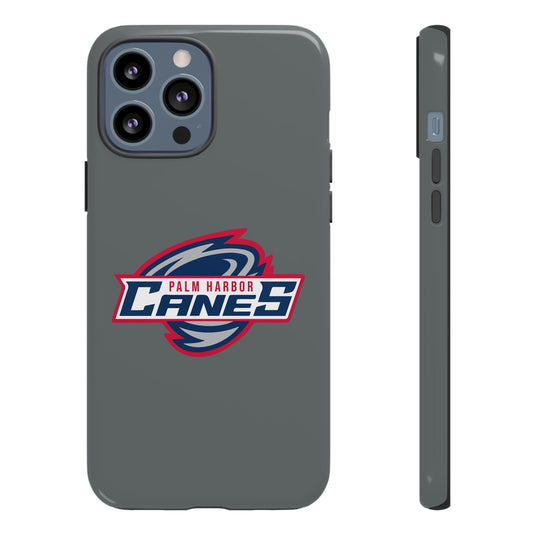 Palm Harbor Lady Canes Tough Cases