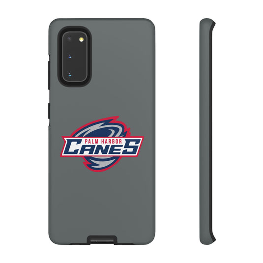 Palm Harbor Lady Canes Tough Cases