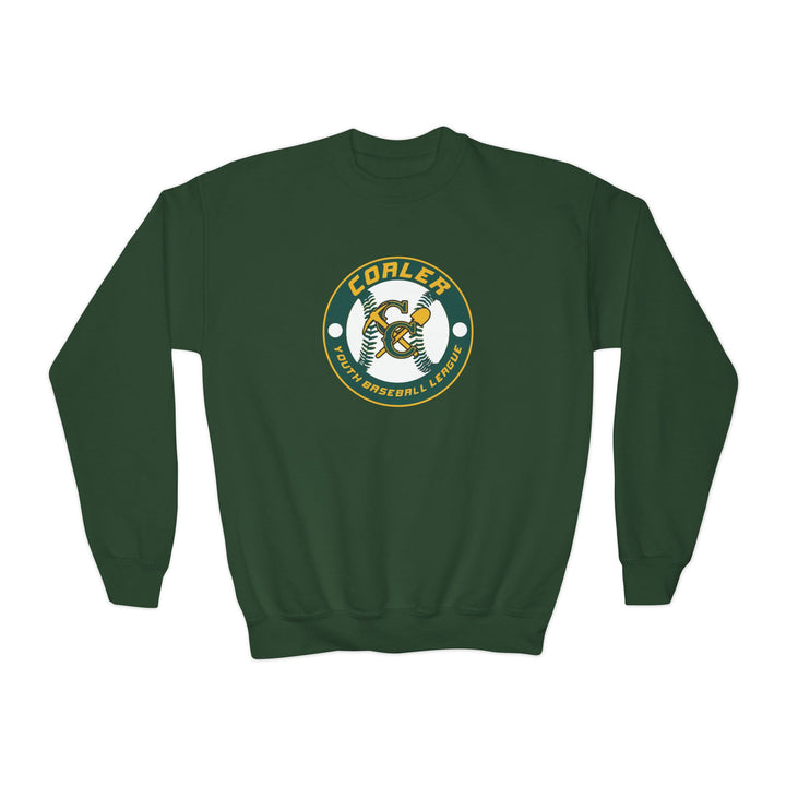 Coaler Youth Baseball Unisex Youth Crewneck Sweatshirt