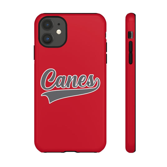 Palm Harbor Lady Canes Tough Cases