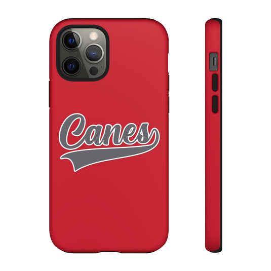 Palm Harbor Lady Canes Tough Cases