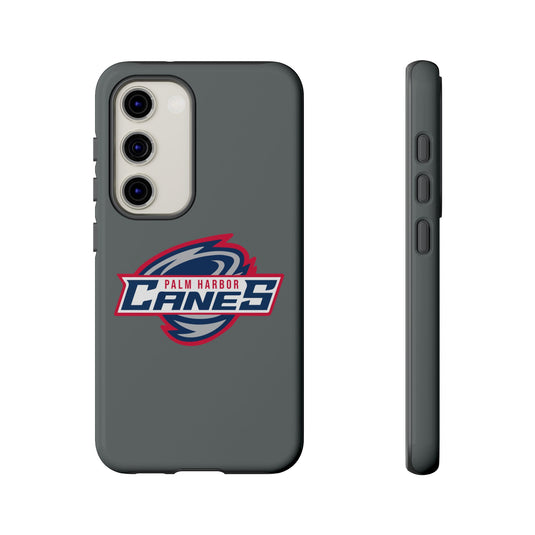 Palm Harbor Lady Canes Tough Cases