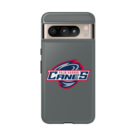 Palm Harbor Lady Canes Tough Cases