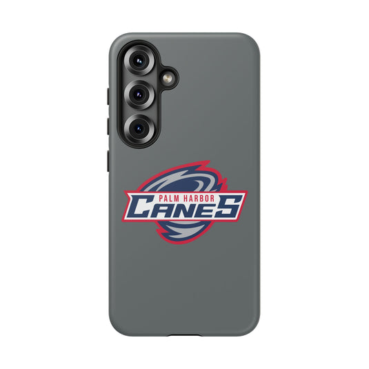 Palm Harbor Lady Canes Tough Cases