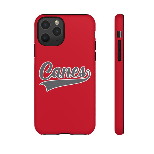 Palm Harbor Lady Canes Tough Cases