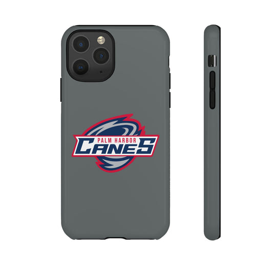 Palm Harbor Lady Canes Tough Cases