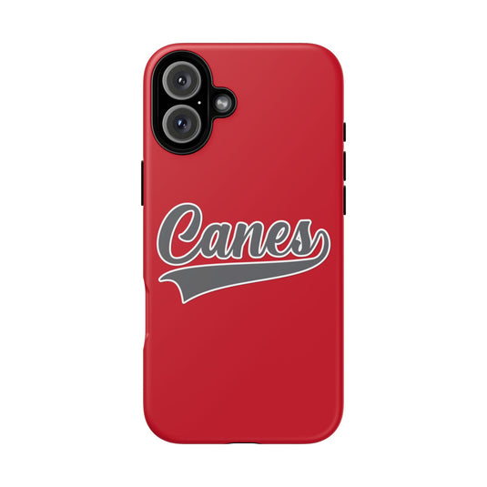 Palm Harbor Lady Canes Tough Cases