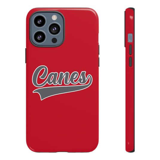 Palm Harbor Lady Canes Tough Cases