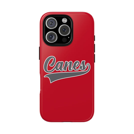 Palm Harbor Lady Canes Tough Cases
