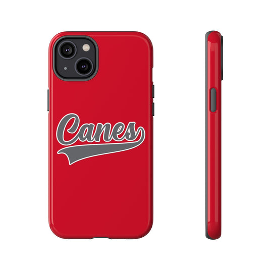 Palm Harbor Lady Canes Tough Cases