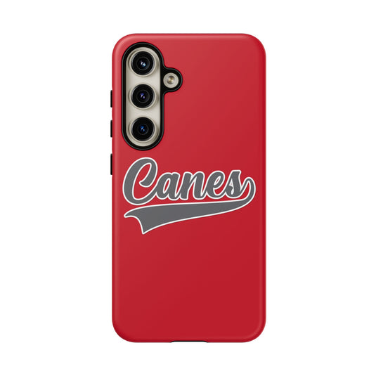 Palm Harbor Lady Canes Tough Cases