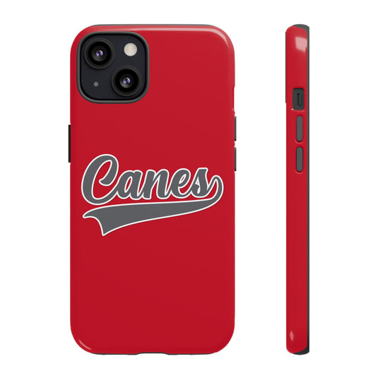 Palm Harbor Lady Canes Tough Cases