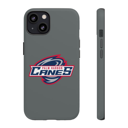 Palm Harbor Lady Canes Tough Cases