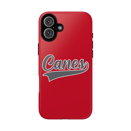 Palm Harbor Lady Canes Tough Cases