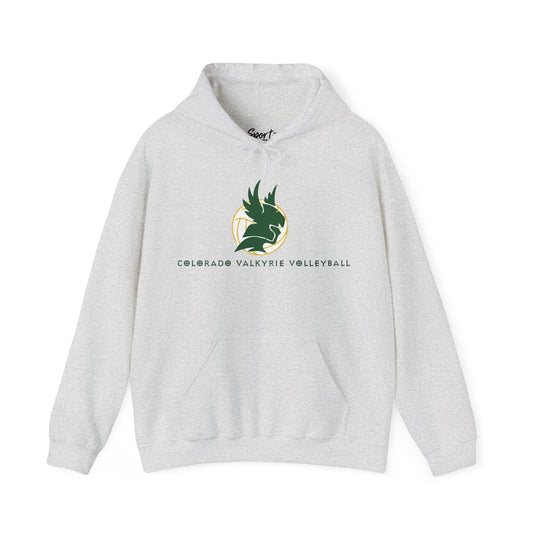 Colorado Valkyrie Volleyball Club Unisex Adult Basic Hooded Sweatshirt