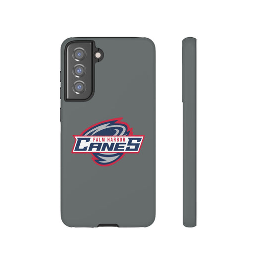 Palm Harbor Lady Canes Tough Cases